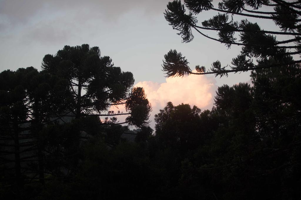 Pousada Sonho Verde Monte Verde  Dış mekan fotoğraf