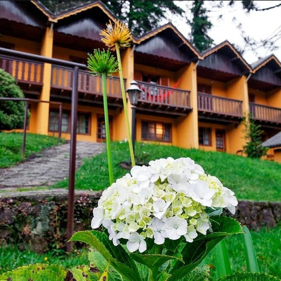 Pousada Sonho Verde Monte Verde  Dış mekan fotoğraf